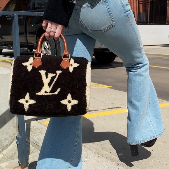 Louis Vuitton Shearling Teddy Speedy 25 - Picture 2 of 13